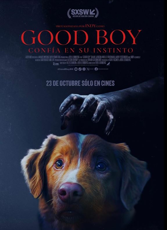 descargar Good Boy