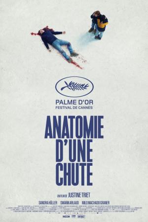 descargar Anatomia De Una Caida